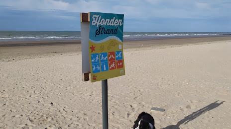 Hondenstrand, Ostend