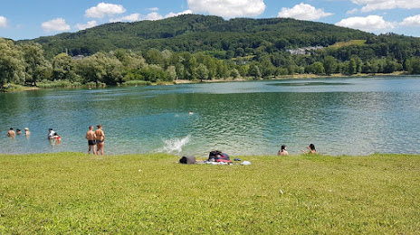 Pleschinger See, Linz