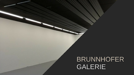 Galerie Brunnhofer, Linz