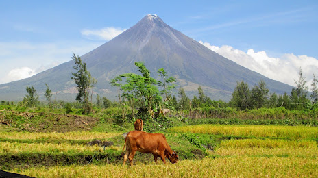 Mayon Volcano Natural Park, Ligao