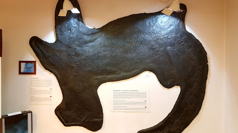 Museo Civico dei Fossili di Besano, Varese