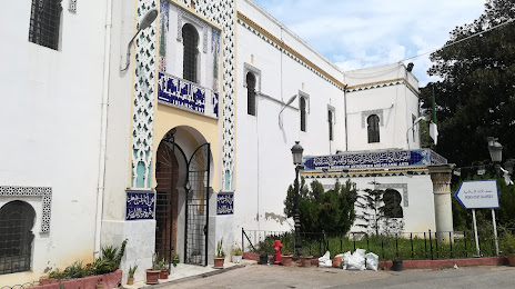 Museum of Modern Art of Algiers, 