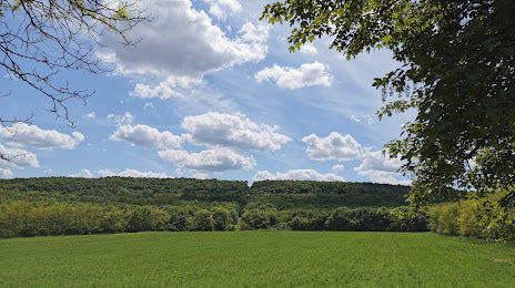 Gödöllői Dombvidék Landscape Protection Area, Pécel