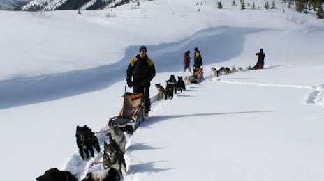 Mad Dogs & Englishmen Expeditions Inc, Canmore