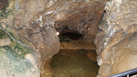 Wiehler Tropfsteinhöhle, Нюмбрехт