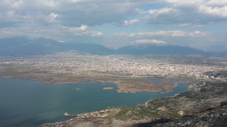 Tarabosh, Σκόδρα