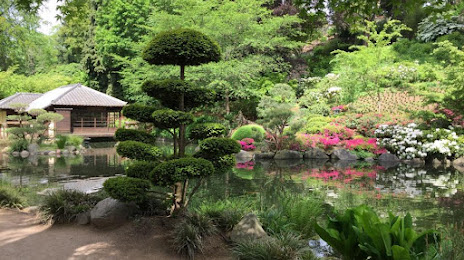 Japanischer Garten und Japan-Imbiss, 