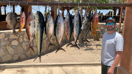 Daliken sportfishing, San José del Cabo