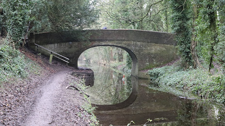 Wendover Arm Canal, Tring