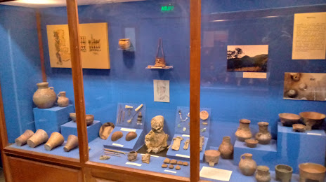 Museo Arqueologico de la Universidad, 