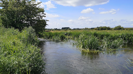 Staines Moor, Hayes