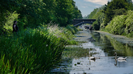 Grand Union Canal Slough Arm, Hayes