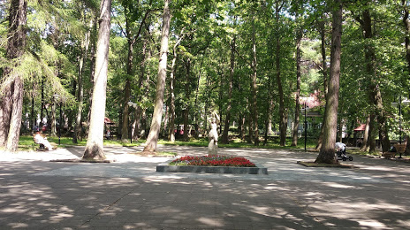 Лиственничный парк, Светлогорск