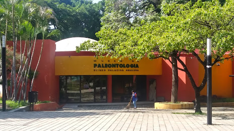 Museo de Paleontología Eliseo Palacios Aguilera, Tuxtla Gutiérrez
