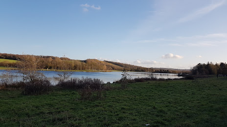 Rother Valley Lake, 