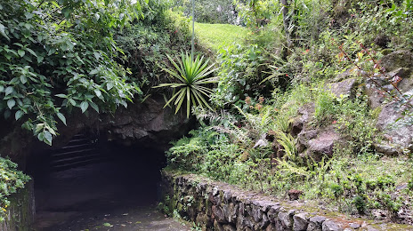 Cave Orquidea (Cueva de la Orquidea), Xalapa