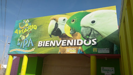 Aviario Lira, Torreón