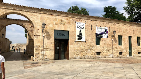 Fundación Baltasar Lobo, Zamora