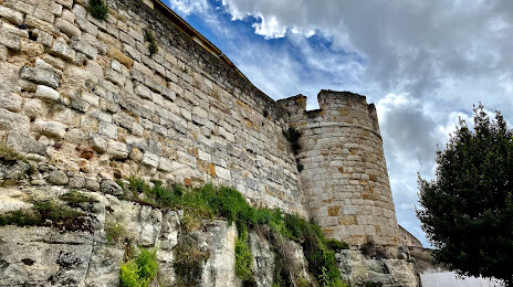 Muralla de Zamora, Zamora