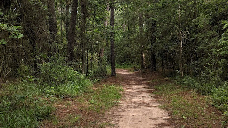 Spring Creek Nature Trail, The Woodlands