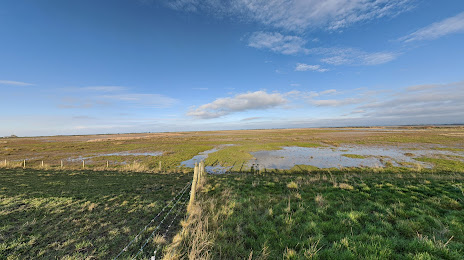 WWT Steart Marshes, Bridgwater