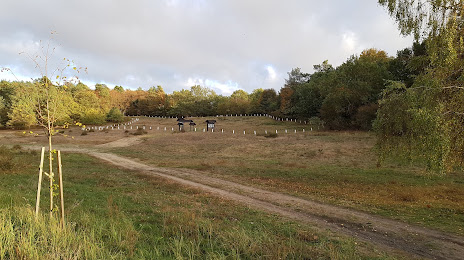 Wzgórze Wisielców Cmentarzysko, Wolin