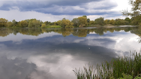 Irthlingborough Lakes And Meadows, 