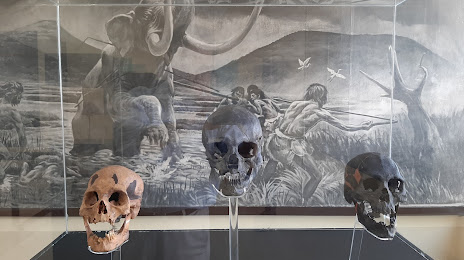 Museum of Man Tepexpan (Museo del Hombre de Tepexpan), Ecatepec