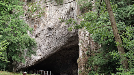 Petnica Cave, Βάλιεβο