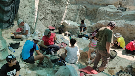 Yacimiento Paleontológico del Cerro de los Batallones, Pinto