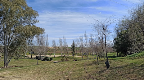 Olivar Park, Pinto
