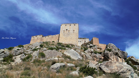 Castillo de los Vélez de Mula, Mula