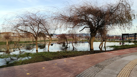 Humedal Los Batros Park (Parque Humedal Los Batros), 콘셉시온