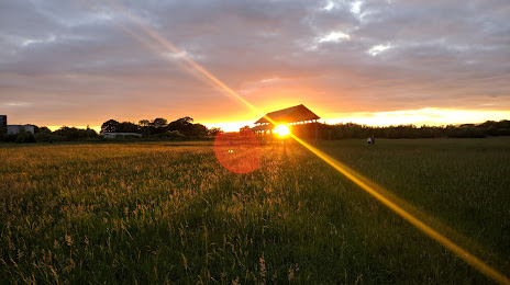 Longrun Meadow, Taunton