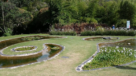 Ботанический сад Мериды, 