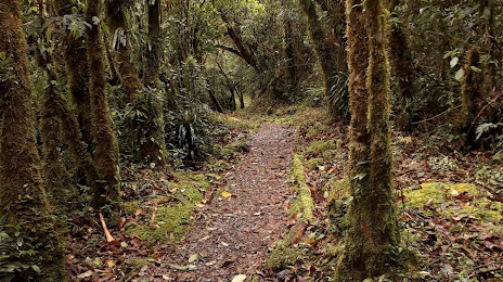 Refugio Cajanuma Parque Nacional Podocarpus, Loja