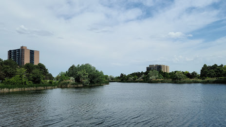 Lake Aquitaine Park, Mississauga