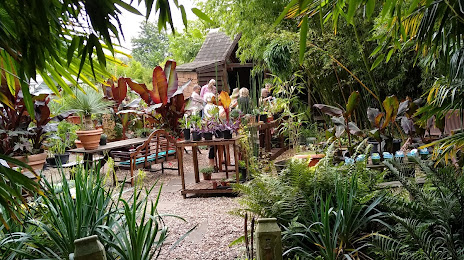 Henstead Exotic Gardens, Lowestoft