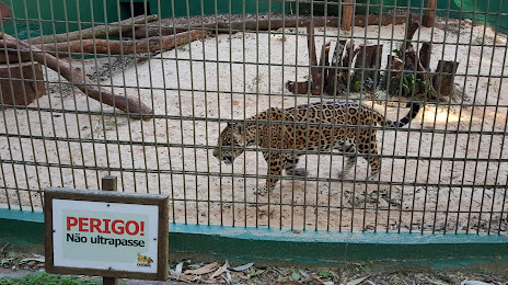 Municipal Zoo Danilo José Galafassi, Cascavel