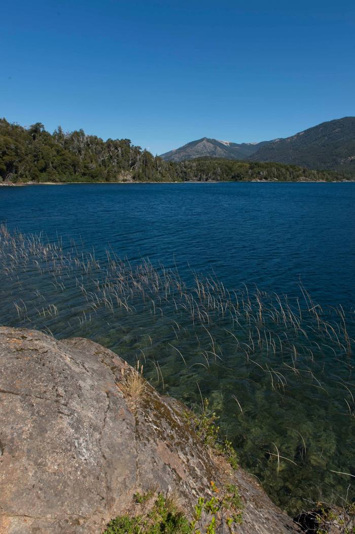 Lago Moreno Este (Lago Perito Moreno), 