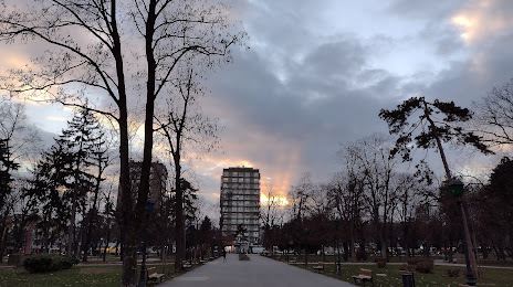 Zemunski Park, Zimony