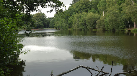 Buchan Country Park, Crawley