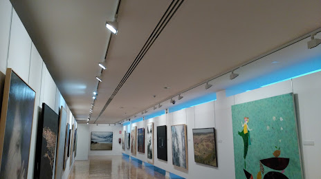 Museo de Arte Contemporáneo Infanta Elena, Tomelloso