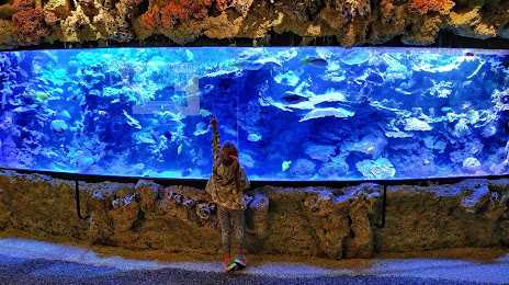 Skansen Aquarium, 