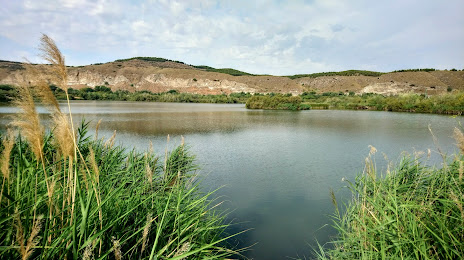 Laguna El Raso, Mejorada del Campo
