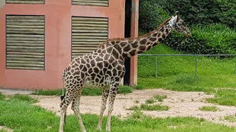 Zoológico Municipal de Curitiba, São José dos Pinhais