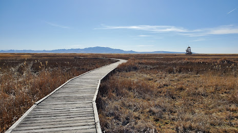 Great Salt Lake Shorelands Preserve, 