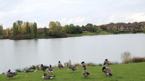 Furzton Lake, Milton Keynes