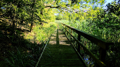 Elfield Nature Park, Milton Keynes