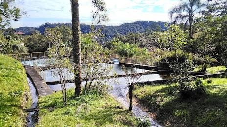 Parque Natural Municipal Nascentes De Paranapiacaba, 